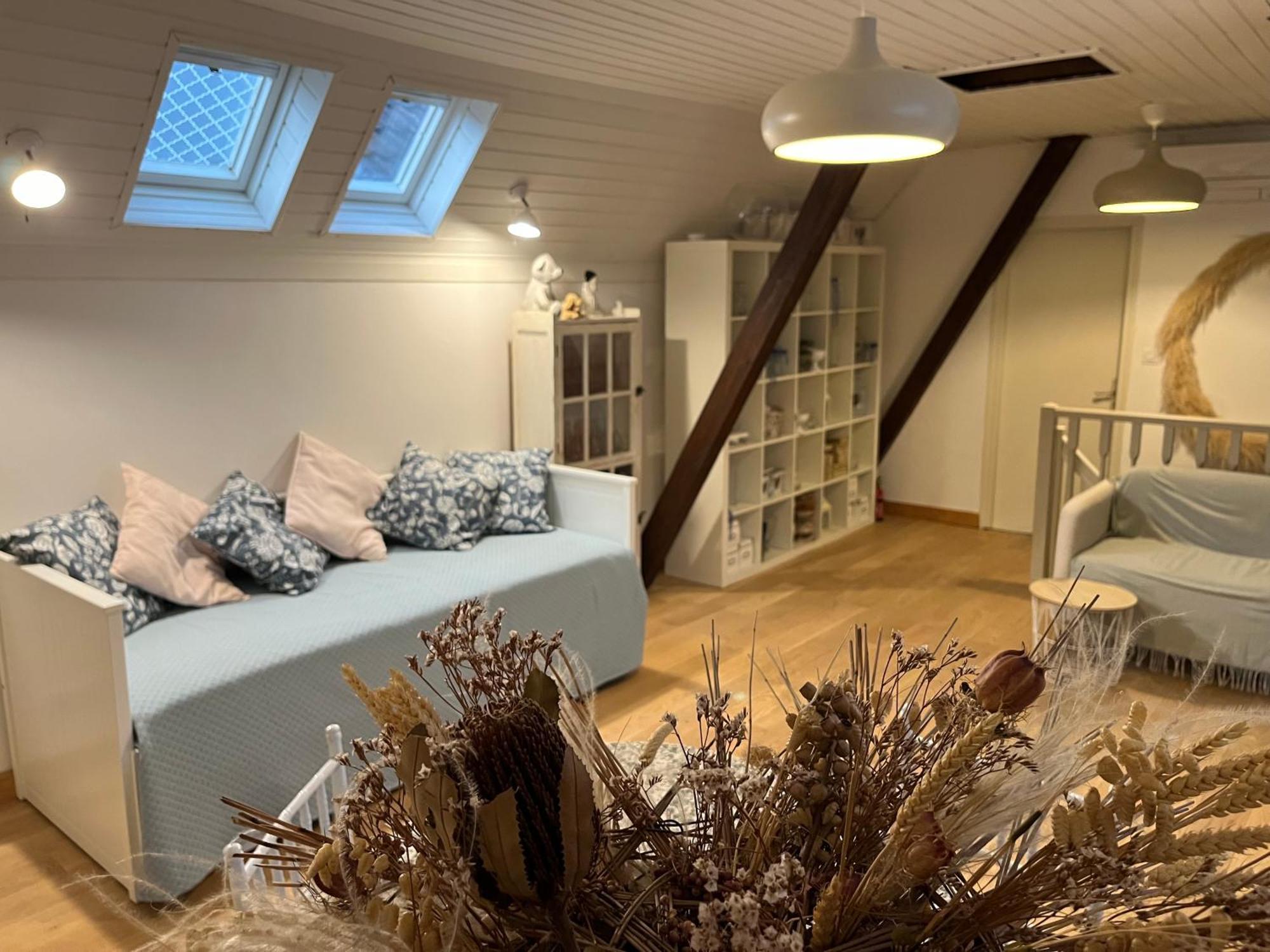 Etage Entier Prive, 45M2 Chez Regine Vila Schiltigheim Exterior foto